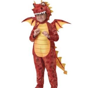 Youth Dragon and Fire Halloween Costume